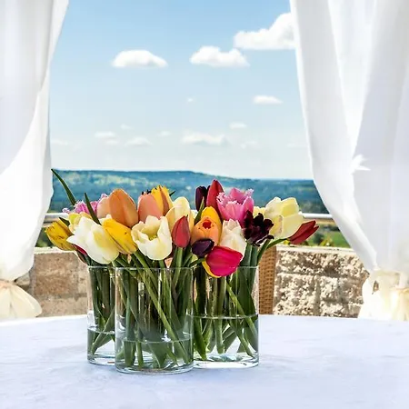 Hotel-restaurant Distlerhof Hotel